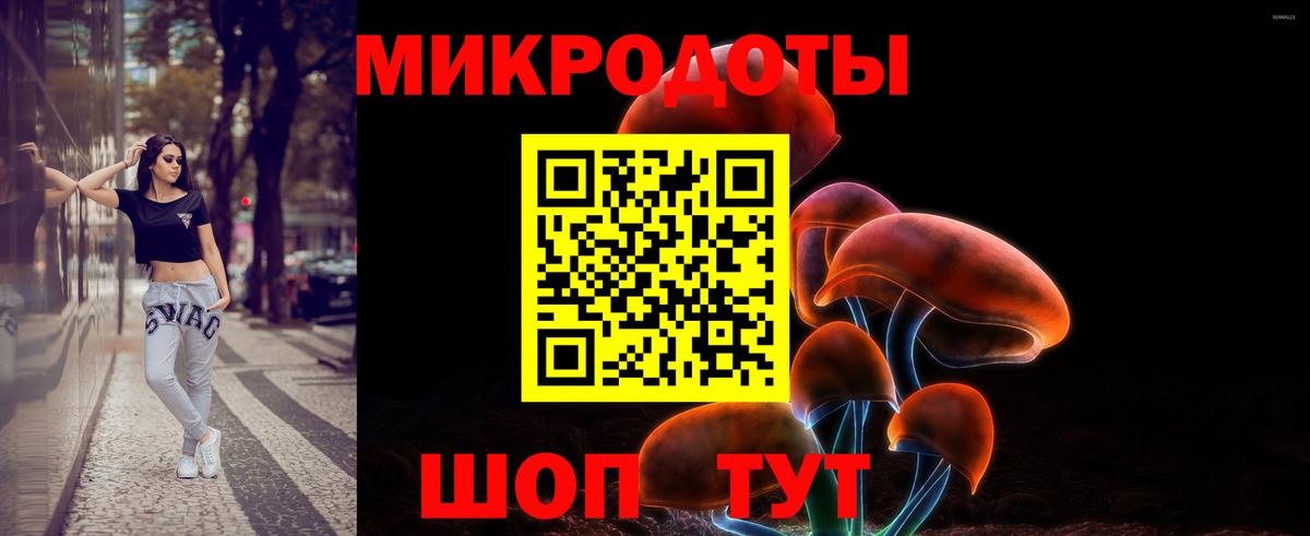 Псилоцибиновые грибы Cubensis Ивантеевка